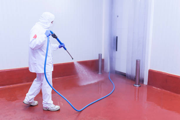 Best Factory Floor Cleaning  in Clarkson, KY